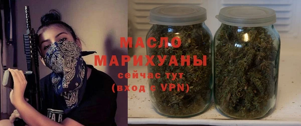 индика Весьегонск