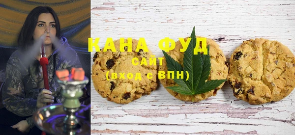 индика Весьегонск