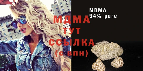 индика Весьегонск
