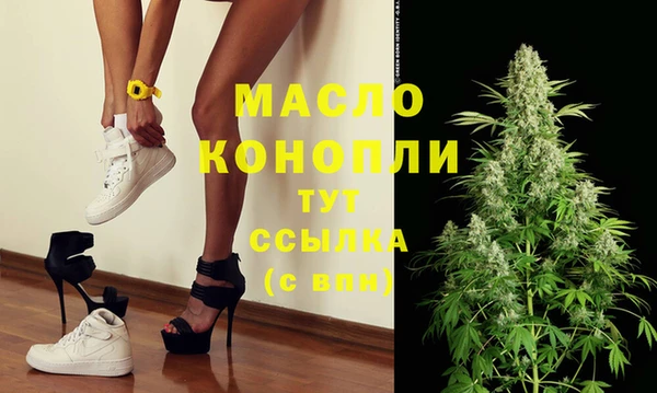 индика Весьегонск